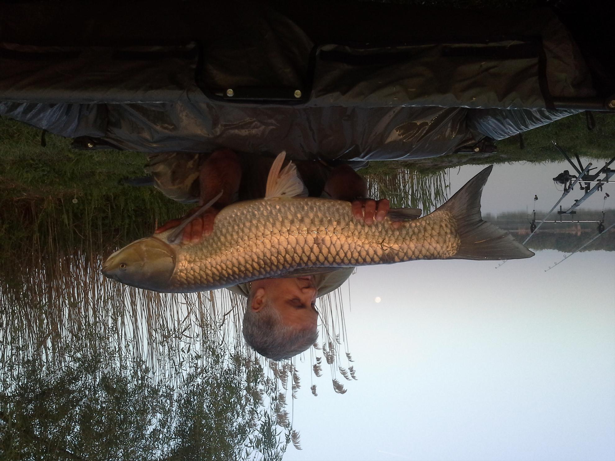 Pescuit la crap - 201304270622081.jpg